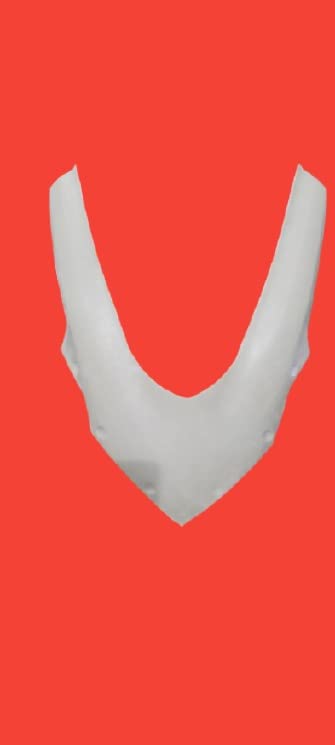 FK Racing Bajaj RS200 V-MASK with V3 Visor (not Painted)