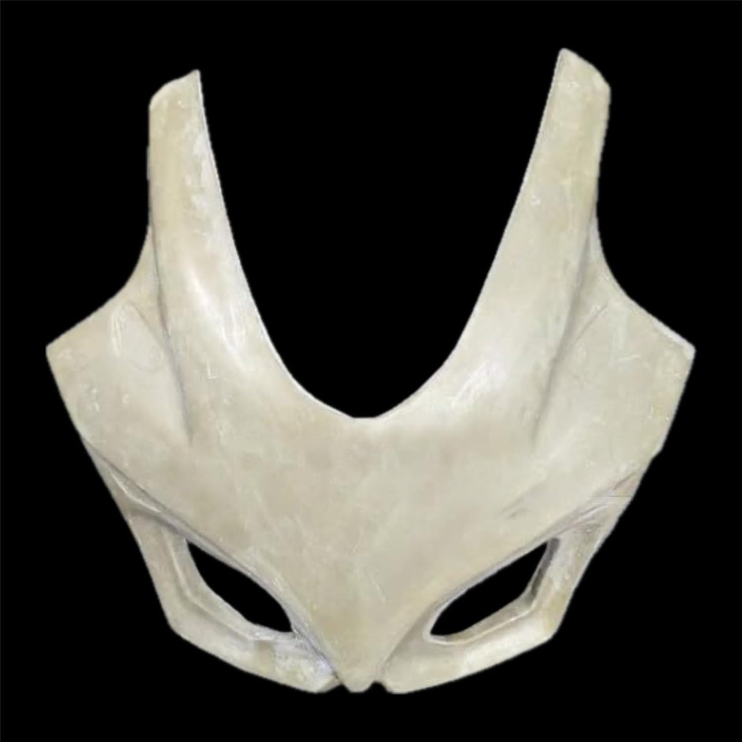FK Racing Wildmask for Pulsar RS 200 (Without Painting)