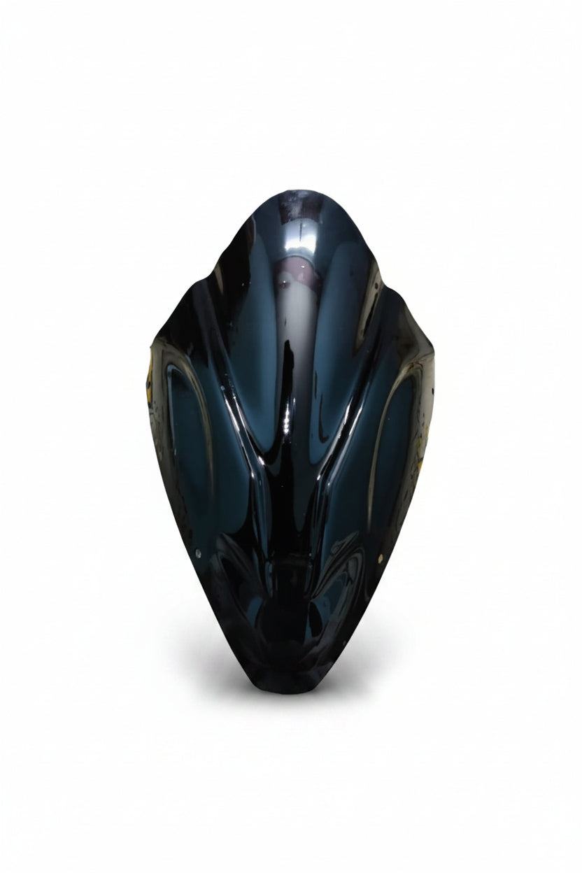 FK Racing DB Visor for Pulsar 150 and 180 (Black)